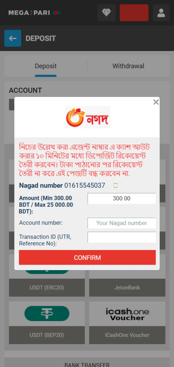 Enter the required details and top up your MegaPari balance.