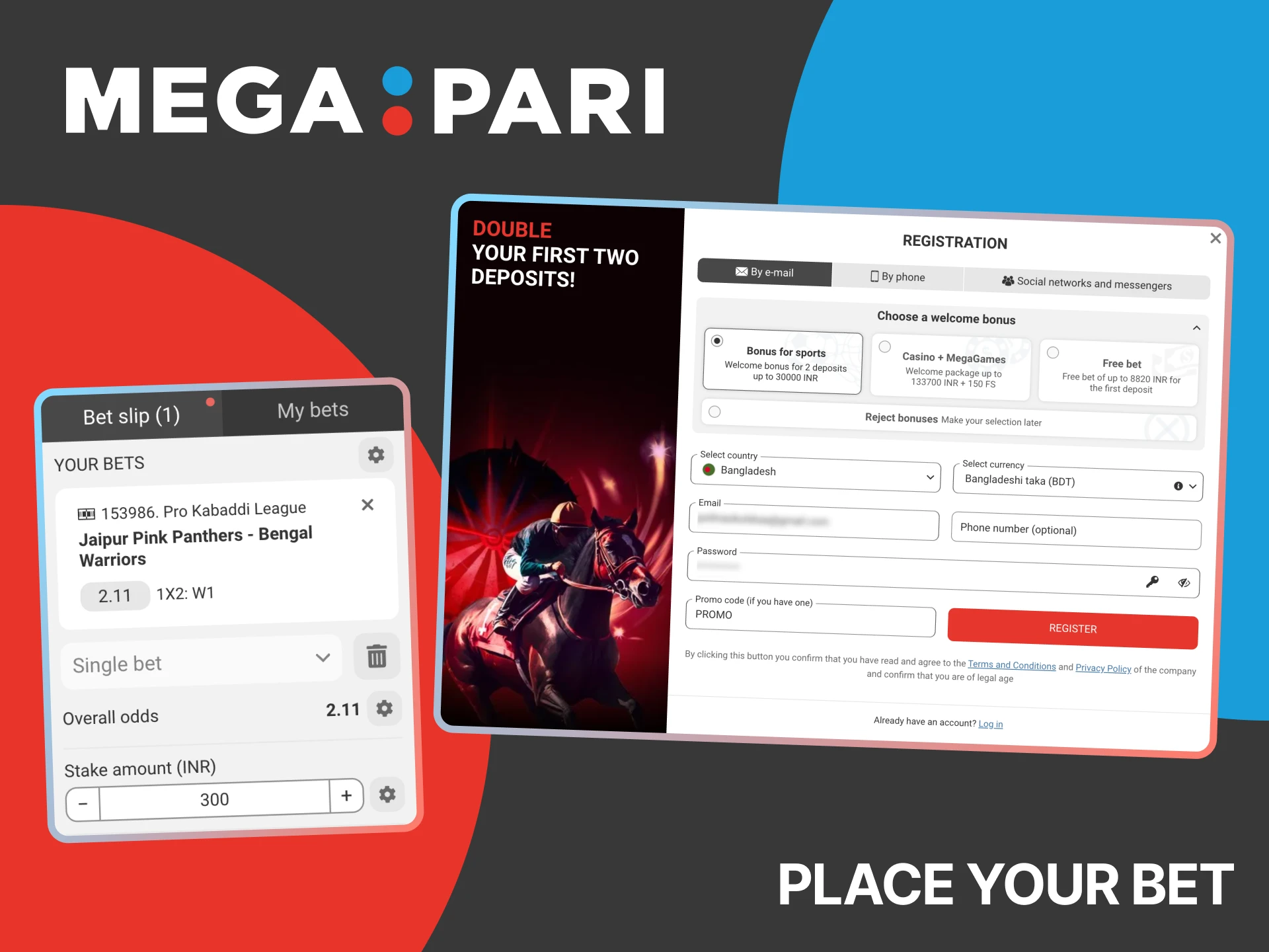 Follow the instructions to make your first Megapari kabaddi bet.